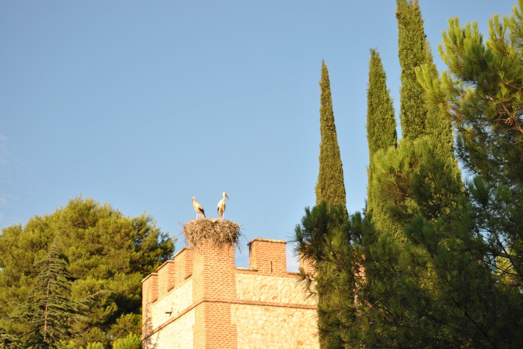 Foto de Alcala De Henares (Madrid), España