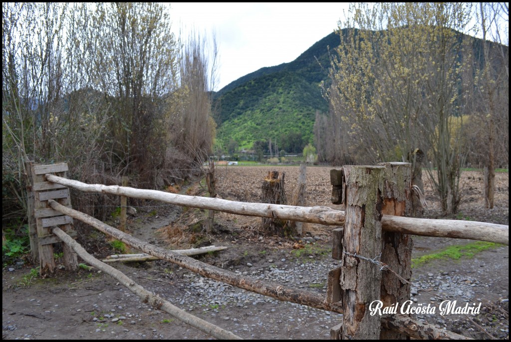 Foto de Doñihue (Libertador General Bernardo OʼHiggins), Chile