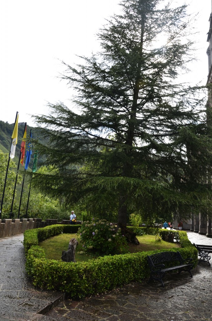 Foto de Santuario De Covadonga (Asturias), España