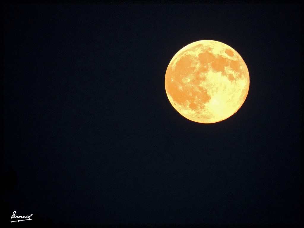 Foto: 140811-03 LUNA LLENA - Alconchel De Ariza (Zaragoza), España