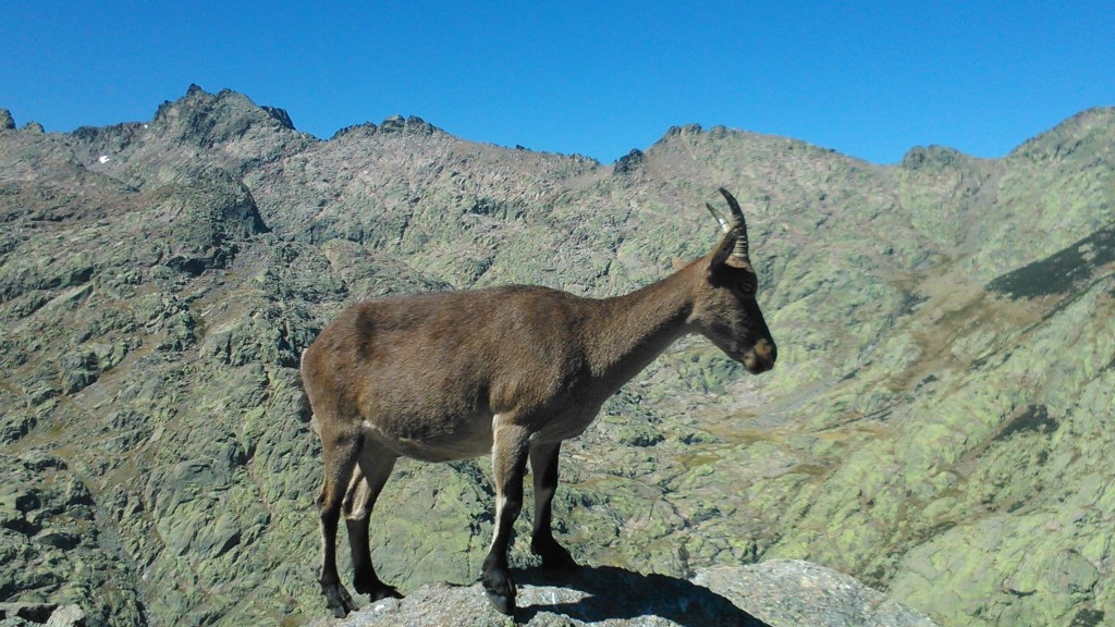 Foto de Hoyos del Espino (Ávila), España