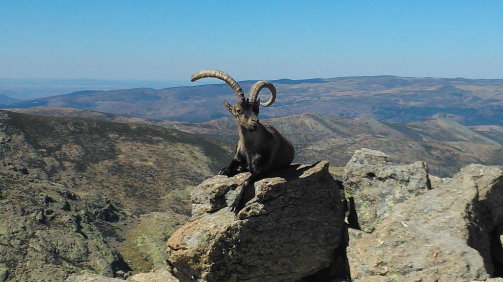 Foto de Hoyos del Espino (Ávila), España