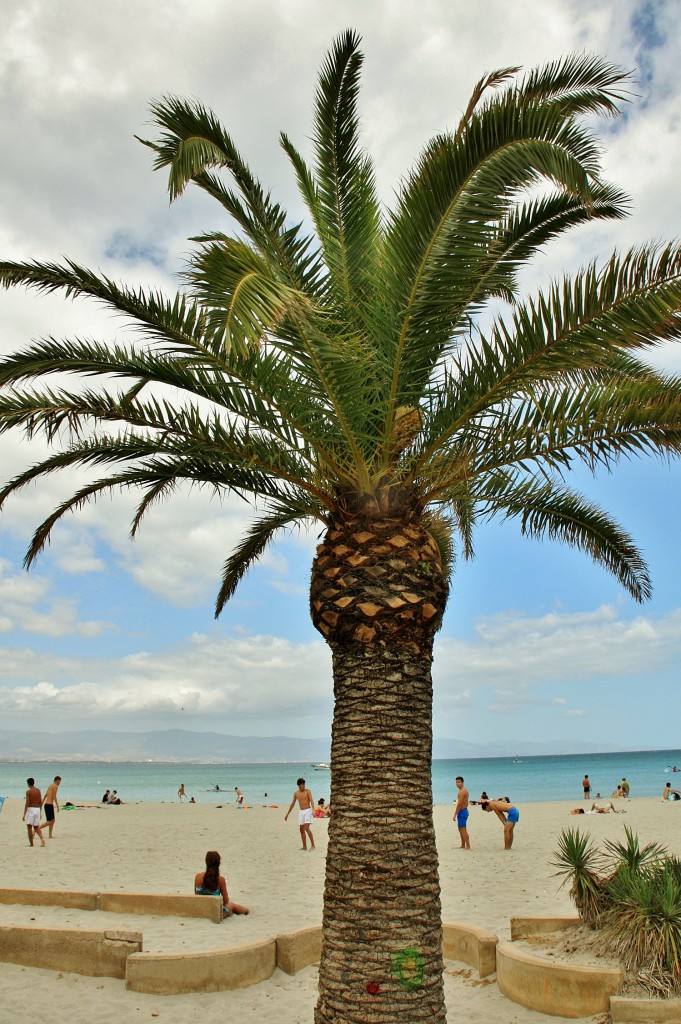 Foto: Playa - Cagliari (Sardinia), Italia