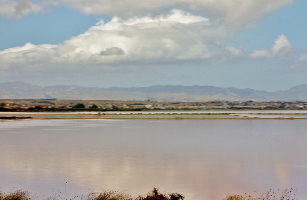 Foto: Salinas - Cagliari (Sardinia), Italia