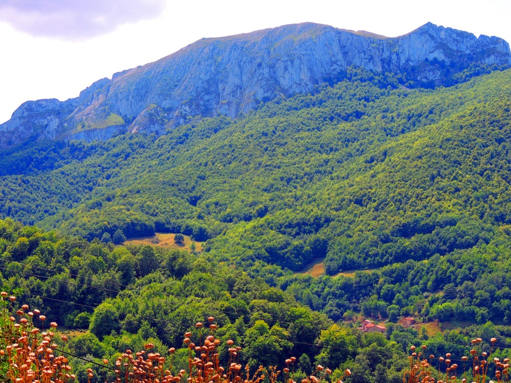 Foto de Valdeprado (Cantabria), España