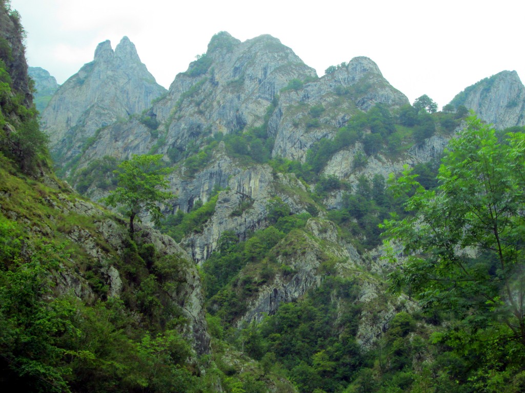 Foto de Desfiladero de los Beyos (León), España