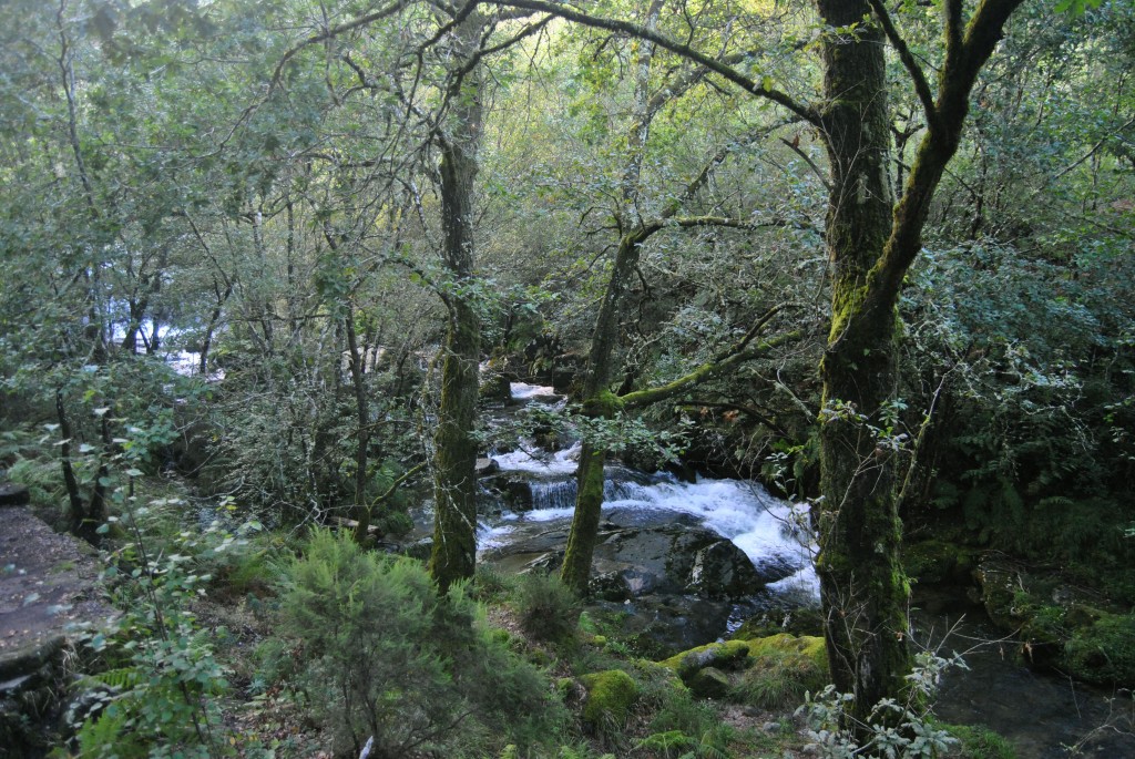 Foto de Melon (Ourense), España