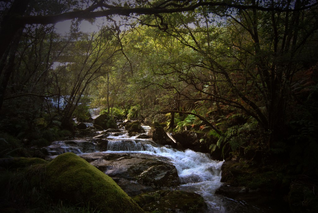 Foto de Melon (Ourense), España