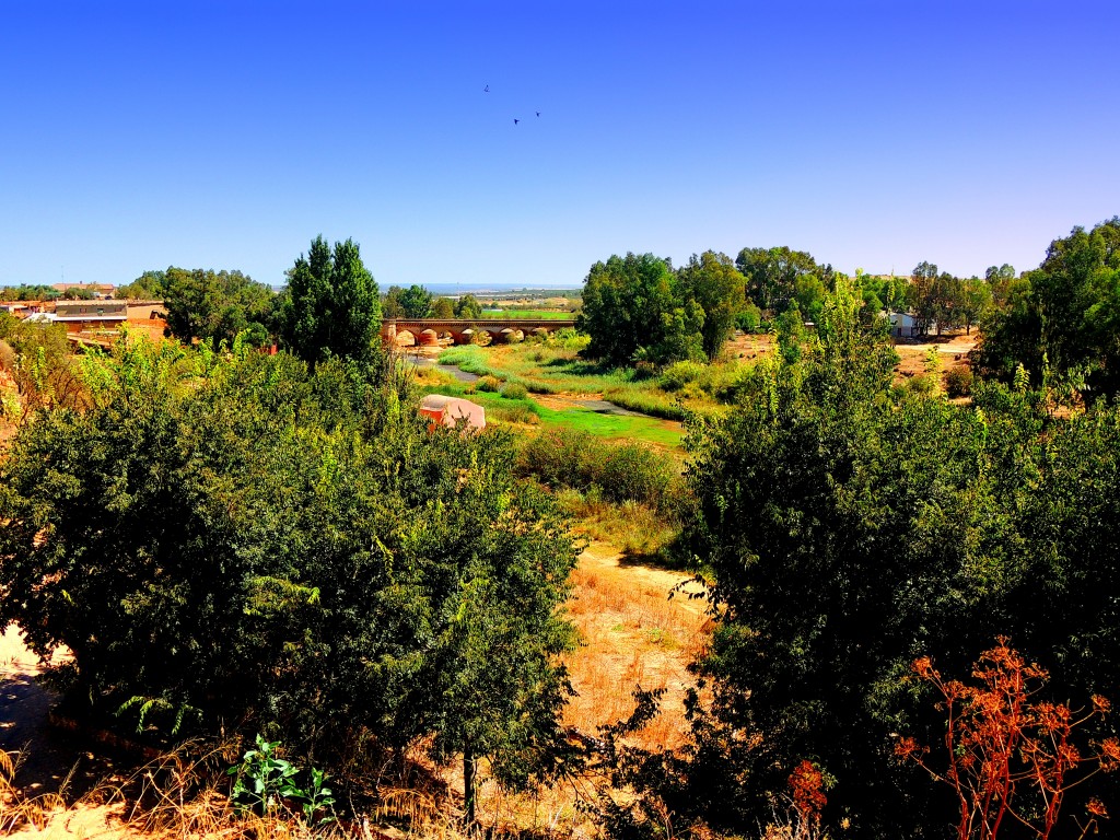 Foto de Niebla (Huelva), España