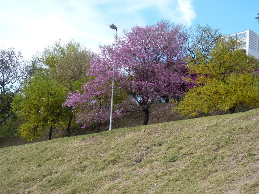 Foto: Parque Urquiza - Paraná (Entre Ríos), Argentina