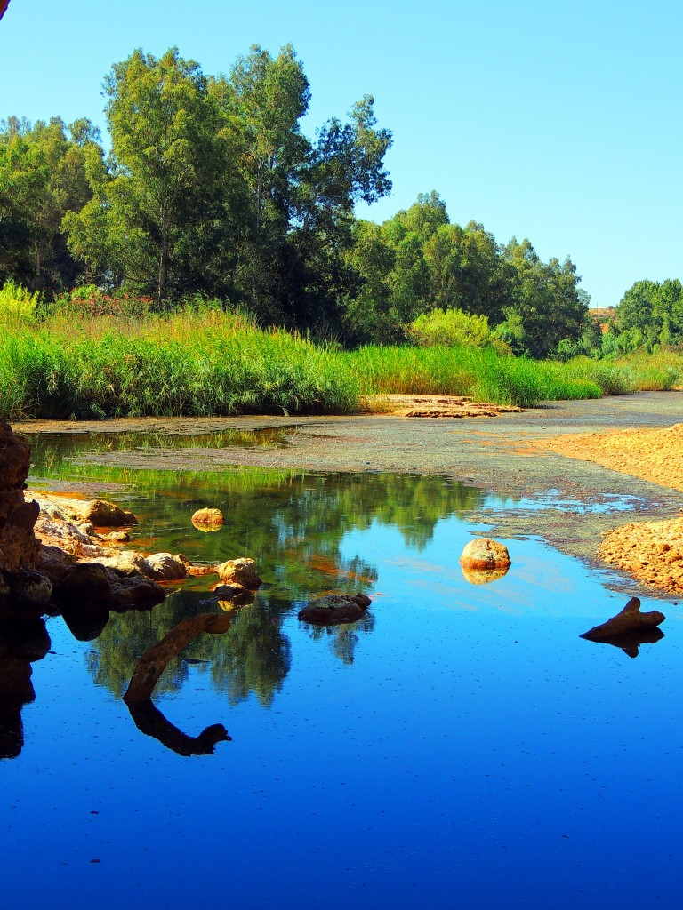 Foto de Niebla (Huelva), España