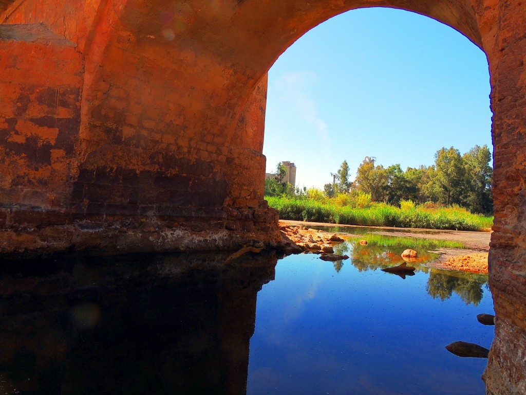 Foto de Niebla (Huelva), España