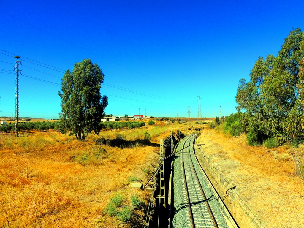 Foto de Niebla (Huelva), España