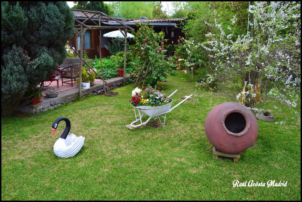 Foto de Quinta de Tilcoco (Libertador General Bernardo OʼHiggins), Chile