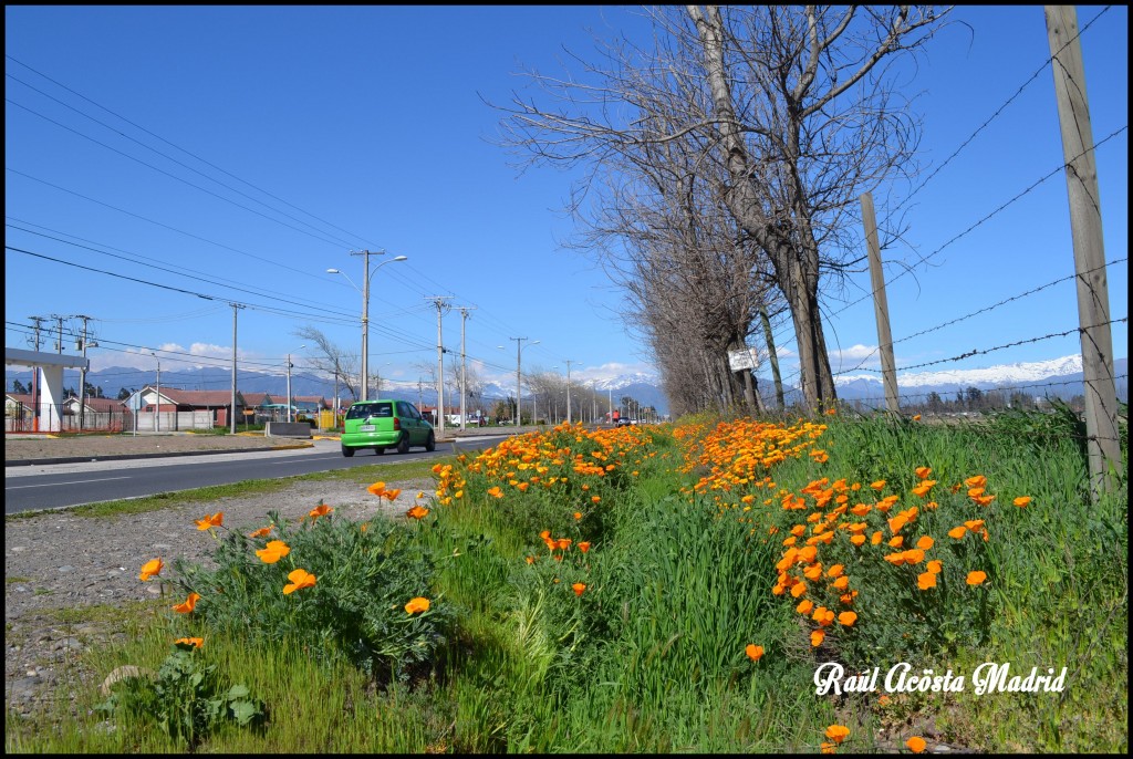 Foto de Rancagua (Libertador General Bernardo OʼHiggins), Chile