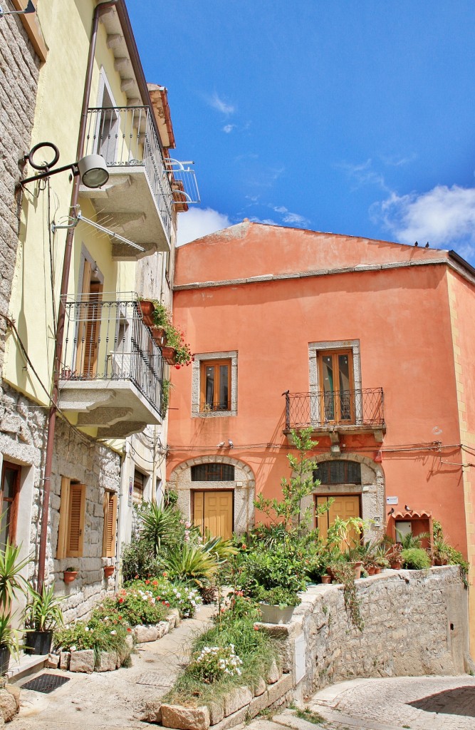 Foto: Centro histórico - Tempio Pausania (Sardinia), Italia