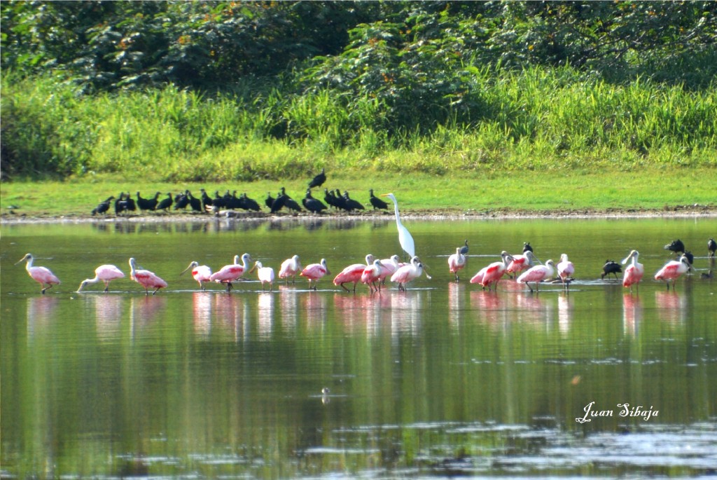 Foto de Alajuela, Costa Rica