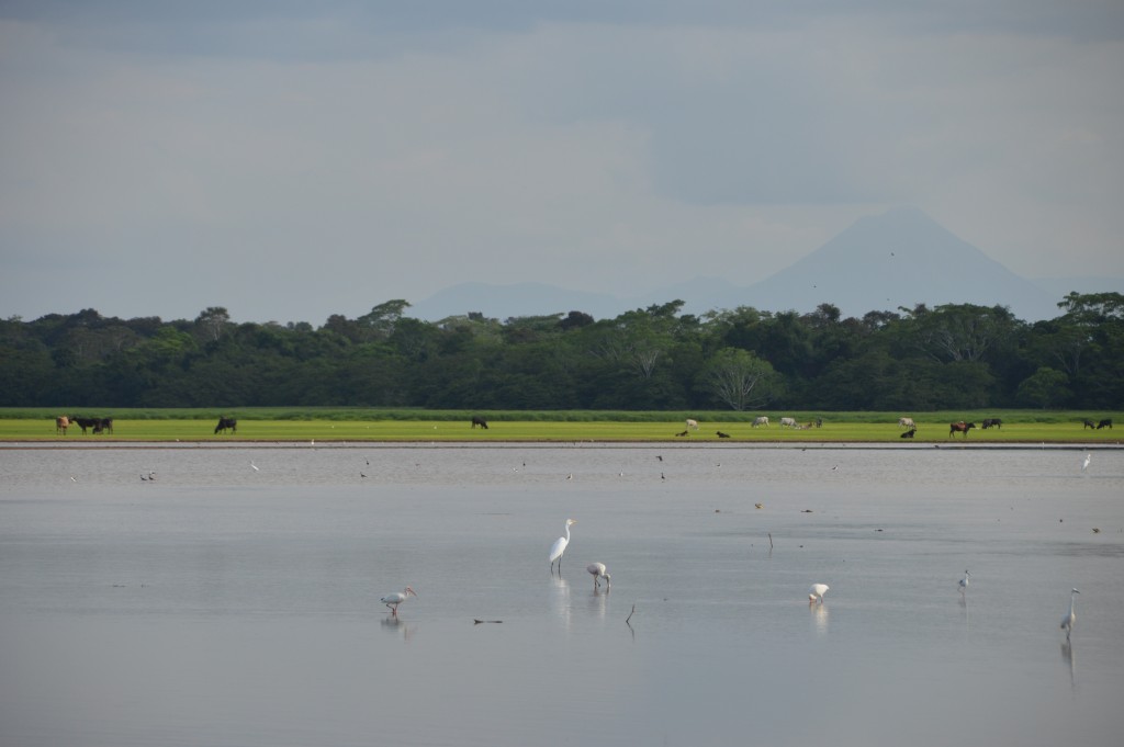 Foto de Alajuela, Costa Rica