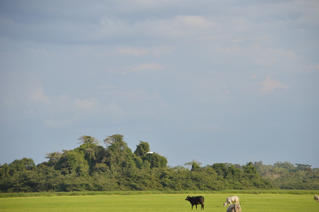 Foto de Alajuela, Costa Rica