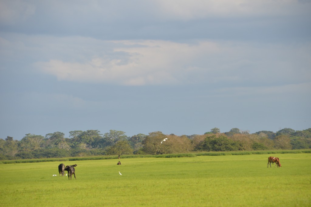 Foto de Alajuela, Costa Rica