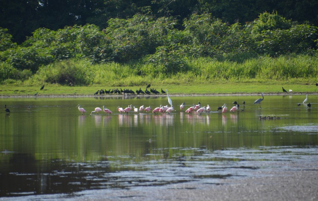 Foto de Alajuela, Costa Rica