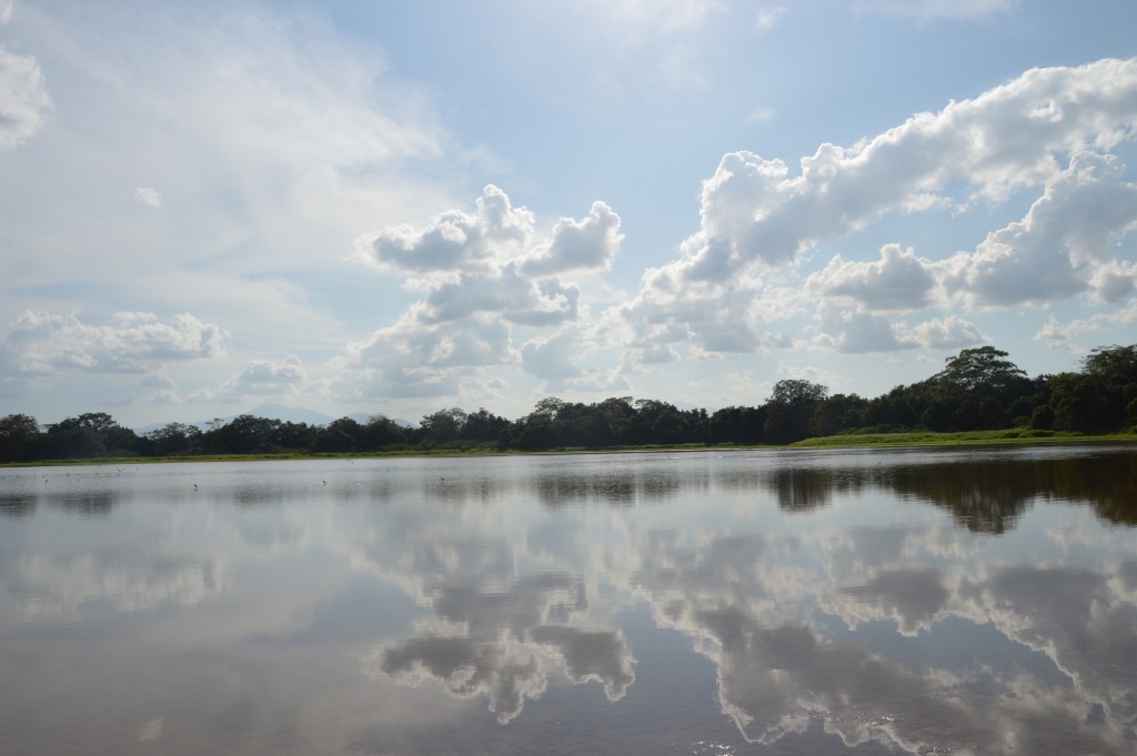 Foto de Alajuela, Costa Rica