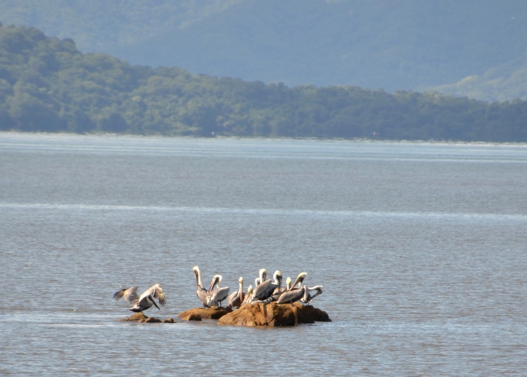 Foto de Alajuela, Costa Rica