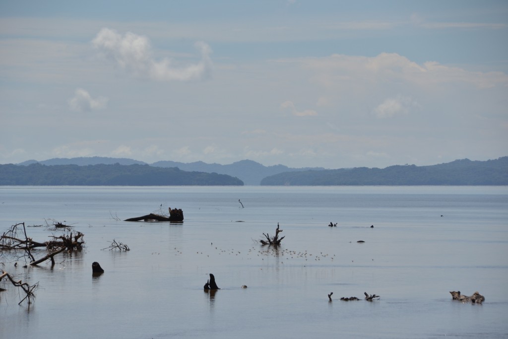 Foto de Alajuela, Costa Rica