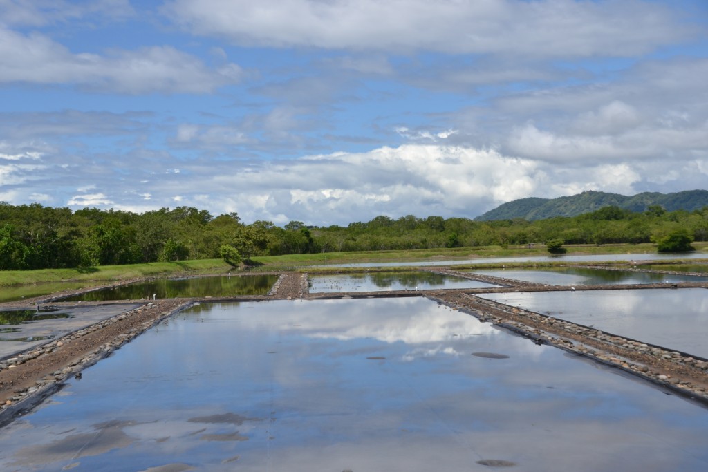 Foto de Alajuela, Costa Rica