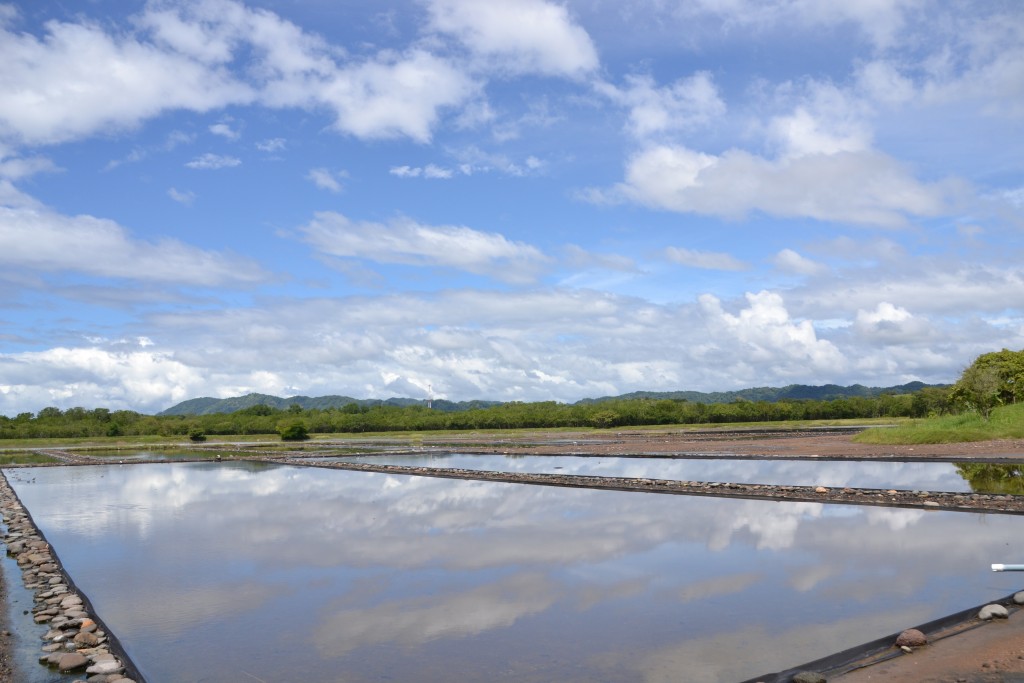 Foto de Alajuela, Costa Rica