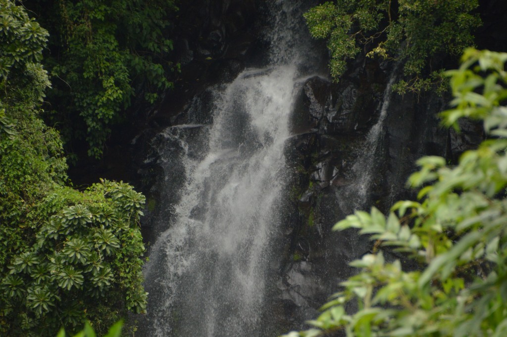 Foto de Caño Negro (Alajuela), Costa Rica