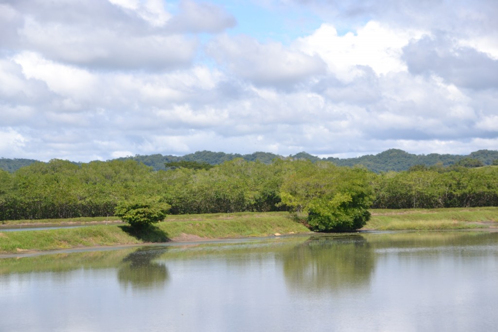 Foto de Caño Negro (Alajuela), Costa Rica