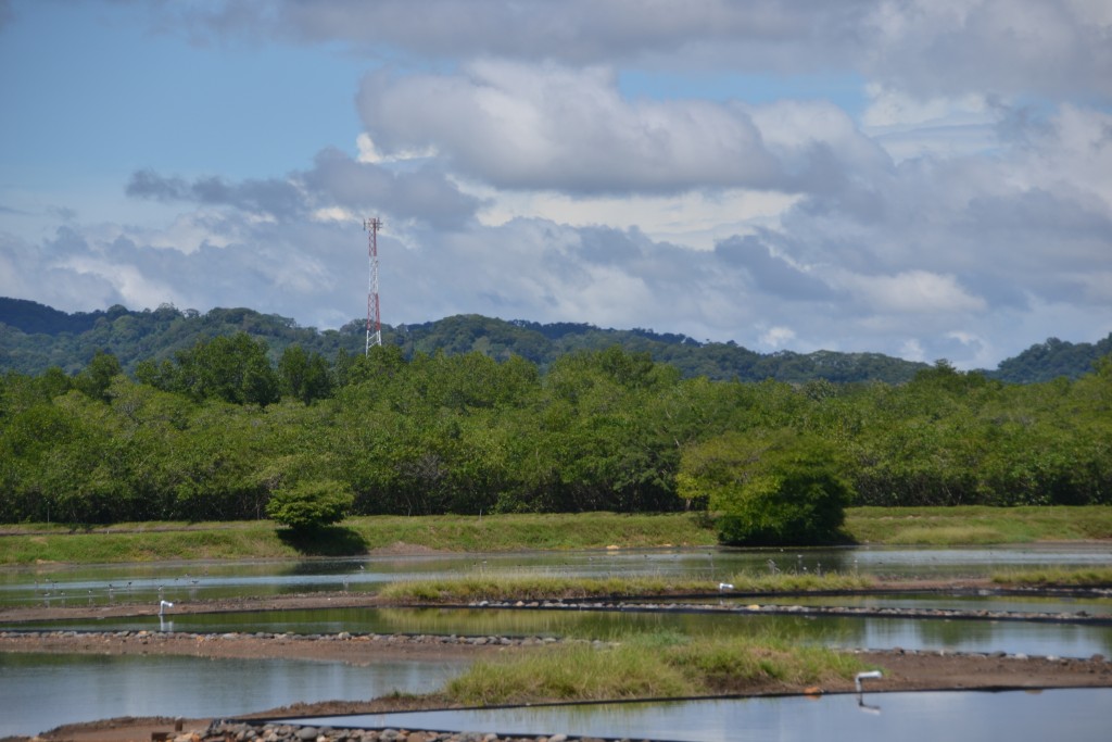 Foto de Caño Negro (Alajuela), Costa Rica