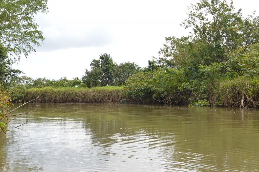 Foto de Alajuela, Costa Rica