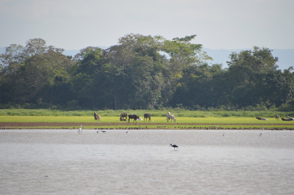 Foto de Alajuela, Costa Rica