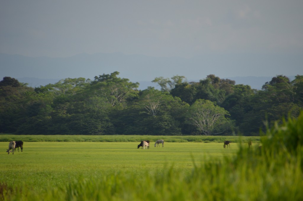 Foto de Alajuela, Costa Rica