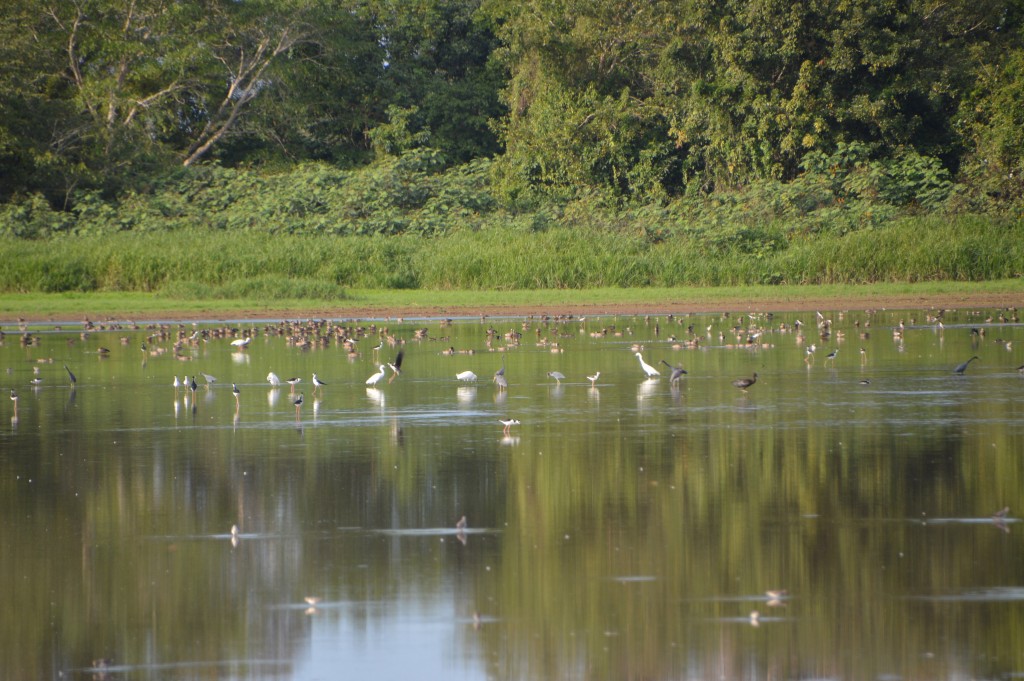 Foto de Alajuela, Costa Rica