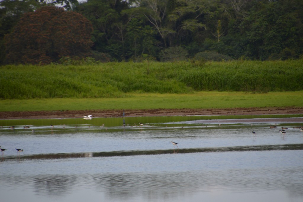 Foto de Alajuela, Costa Rica