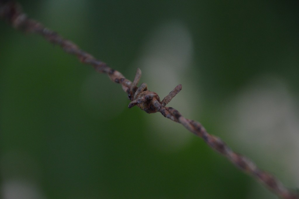 Foto de Caño Negro (Alajuela), Costa Rica