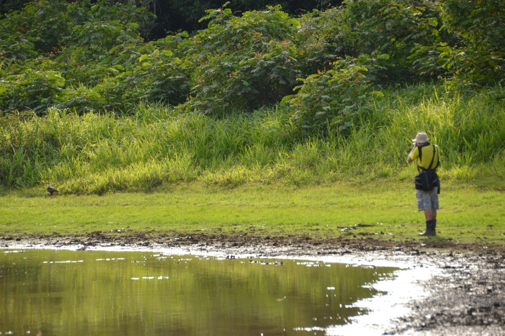 Foto de Caño Negro (Alajuela), Costa Rica