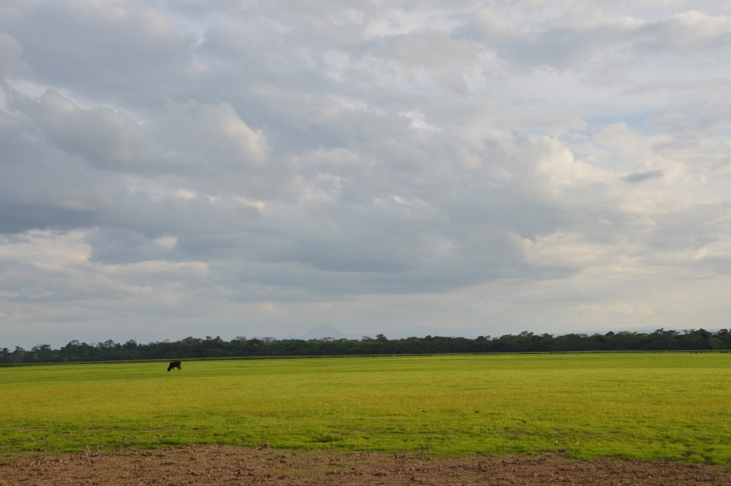 Foto de Caño Negro (Alajuela), Costa Rica