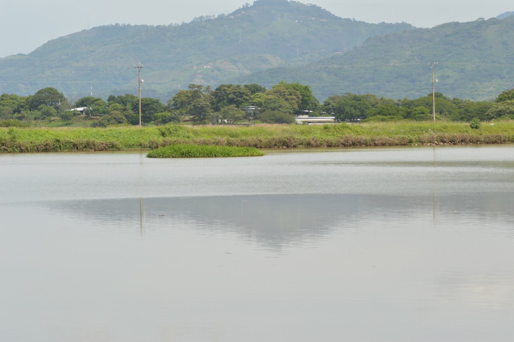 Foto de Caño Negro (Alajuela), Costa Rica