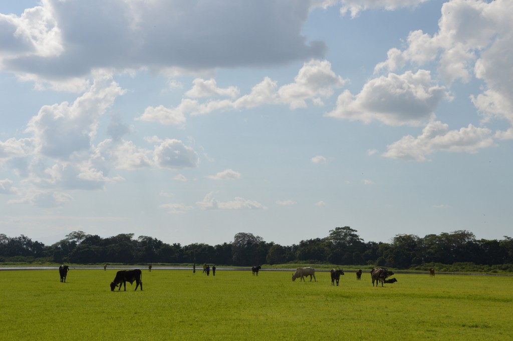 Foto de Caño Negro (Alajuela), Costa Rica