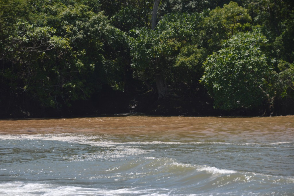 Foto de Tivives (Puntarenas), Costa Rica