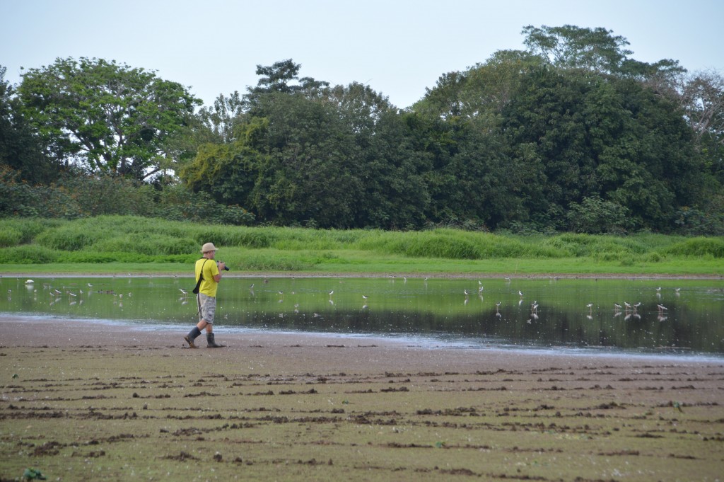 Foto de Tivives (Alajuela), Costa Rica