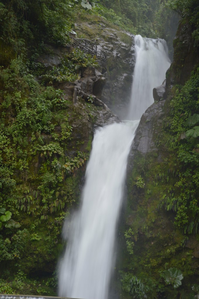 Foto de Tivives (Alajuela), Costa Rica