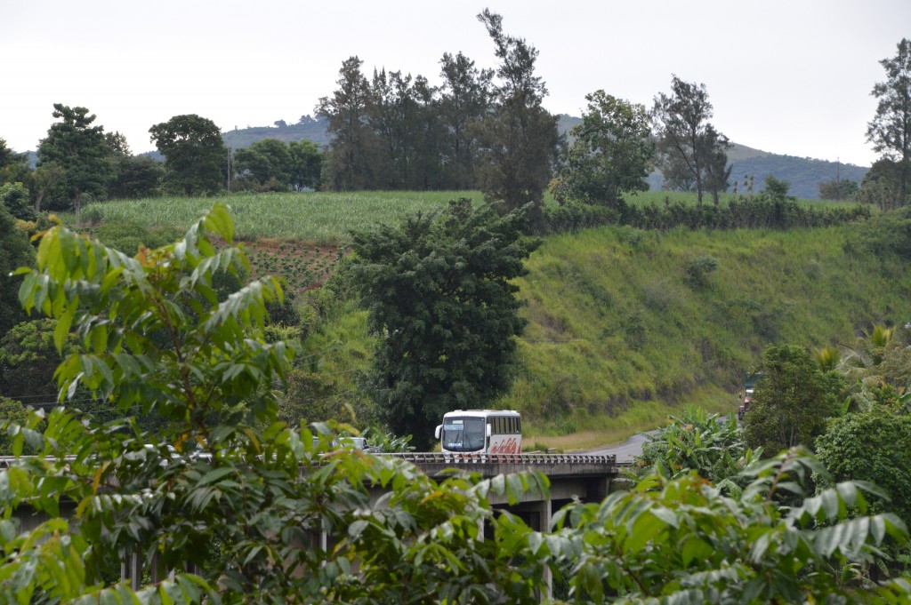 Foto de Tivives (Alajuela), Costa Rica