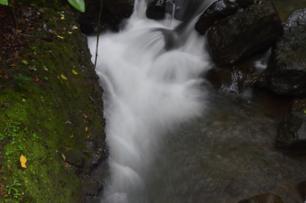 Foto de Alajuela, Costa Rica