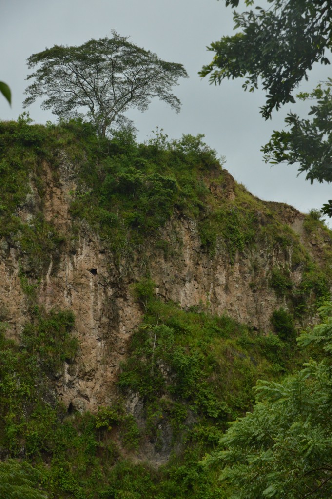 Foto de Alajuela, Costa Rica