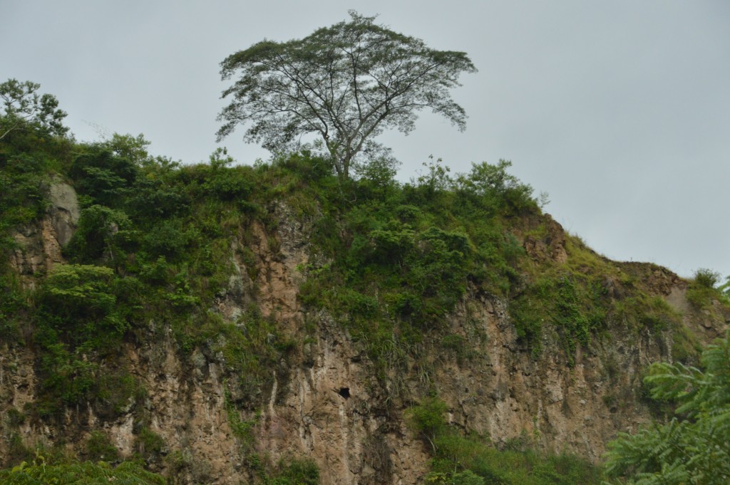 Foto de Alajuela, Costa Rica